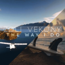 The Way I Do artwork