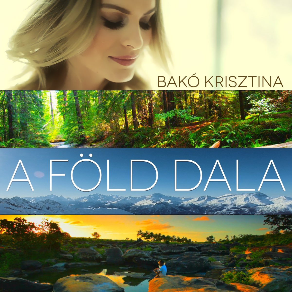 A föld dala artwork
